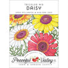 Daisy, Tricolor Mix (pack)
