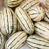 Delicata Winter Squash Seeds (Organic)