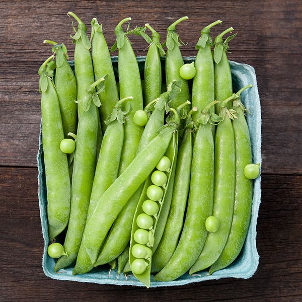 Green Arrow Shell Pea