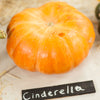 Cinderella Pumpkin Seeds (Organic)