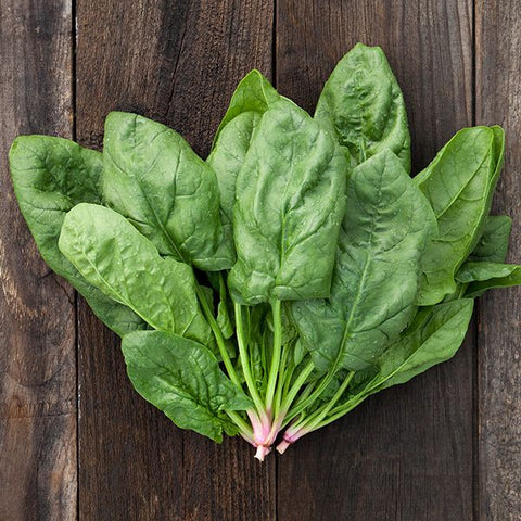 Renegade F1 Spinach