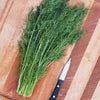 Greensleeves Dill