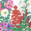 Hummingbird Garden Wildflower Mix (1/4 lb)