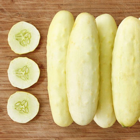 Silver Slicer Cucumber