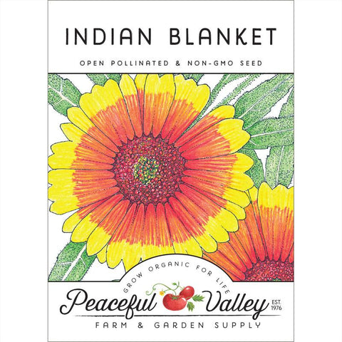 Indian Blanket (pack)