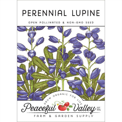 Lupine, Perennial (pack)
