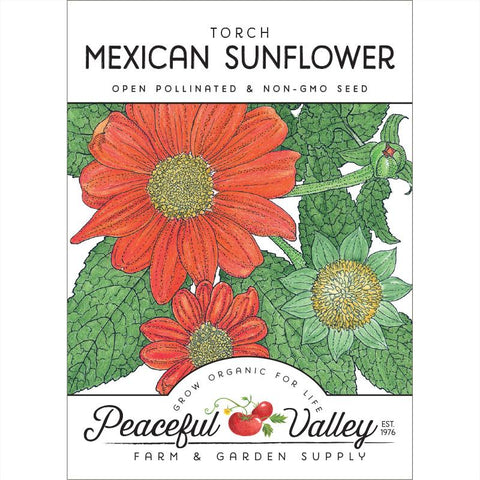 Mexican Sunflower (pack)