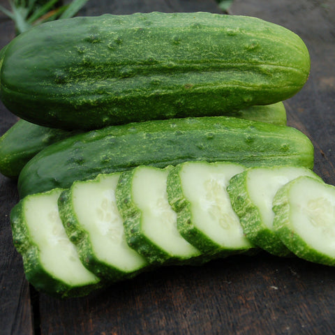 National Pickling Cucumber Seeds (Organic)