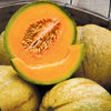 PMR Delicious 51 Melon