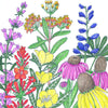 North American Perennial Native Wildflower Mix (1/4 lb)