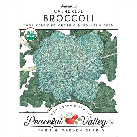 Calabrese Broccoli Seeds (Organic)