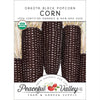 Dakota Black Popcorn Corn Seeds (Organic)