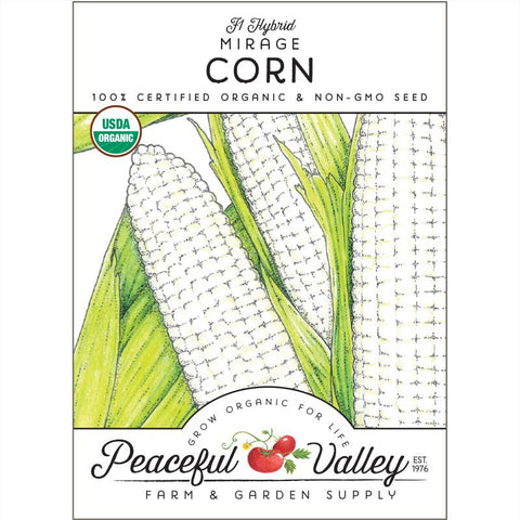 Mirage Corn Seeds (Organic)