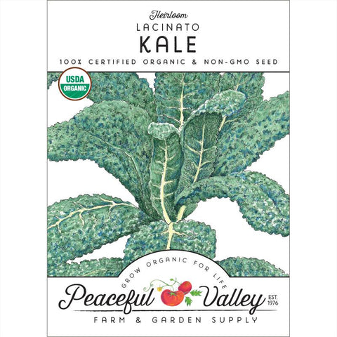 Lacinato Kale Seeds (Organic)