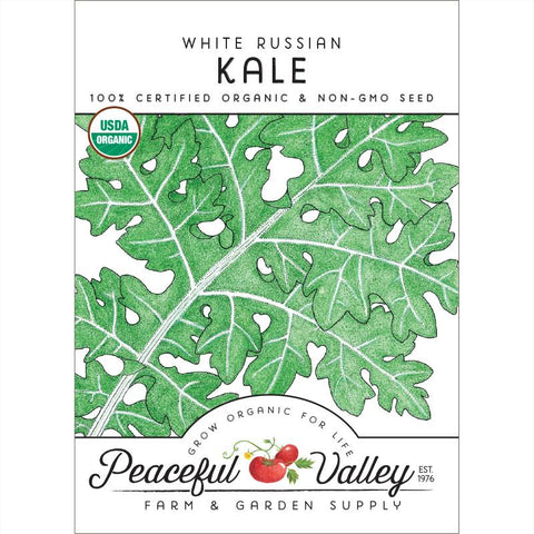 White Russian Kale Seeds (Organic)