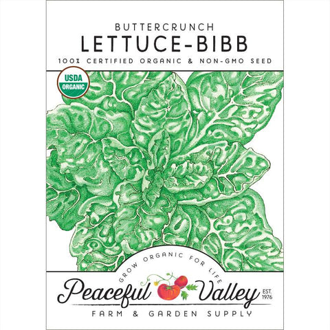 Buttercrunch Lettuce Seeds (Organic)