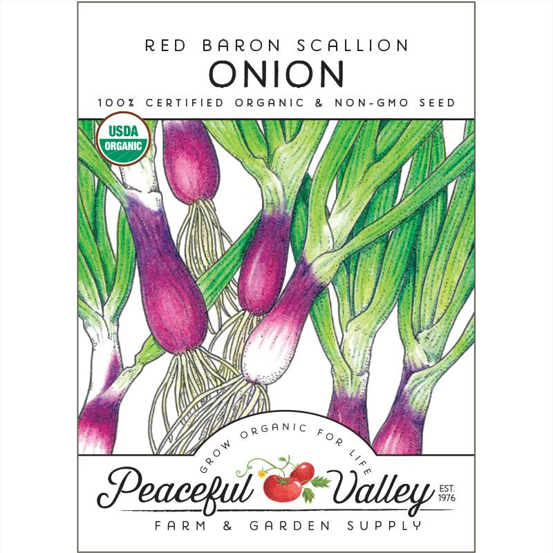 Red Shallots - Certified Organic - Fall Planting