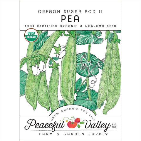 Oregon Sugar Pod Pea Seeds (Organic)