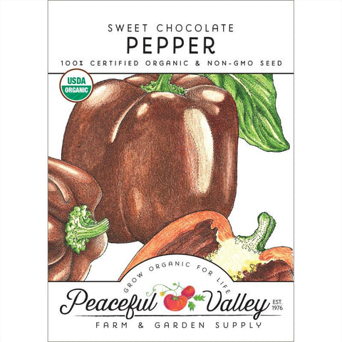 Chocolate Sweet Pepper Seeds (Organic)