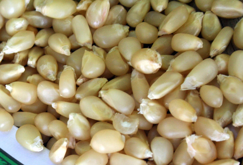 Pennsylvania Butter-Flavored Corn