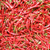 Hot Cayenne Slim Pepper Seeds (Organic)