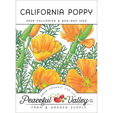 Poppy, California Golden (pack)
