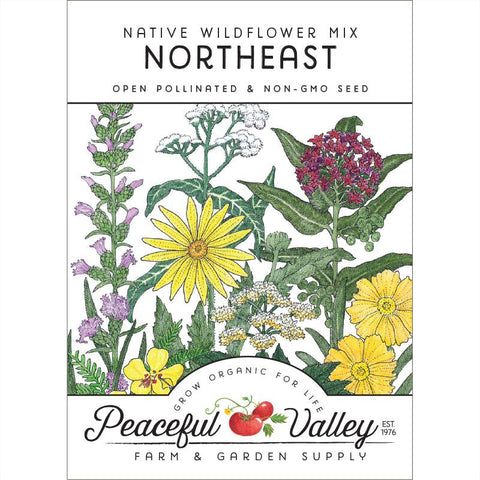 Regional Northeast Native Wildflower Mix (pack)
