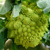 Romanesco Broccoli Seeds (Organic)