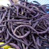 Royalty Purple Pod Bush Bean Seeds (Organic)