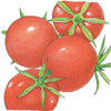 Burbank Tomato Seeds (Organic)