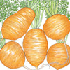 Parisian Carrot Seeds (Organic)