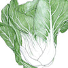 Pak ChoiBaby Shanghai Greens Seeds (Organic)