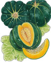 Noir Des Carmes Melon Seeds (Organic)