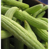 Sweet Green Armenian Cucumber Seeds (Organic)