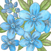 Forget-Me-Not, Chinese (pack)