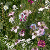 Fragrant Garden Wildflower Mix (1/4 lb)