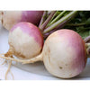 Purple Top White Globe Turnip Seeds (Organic)